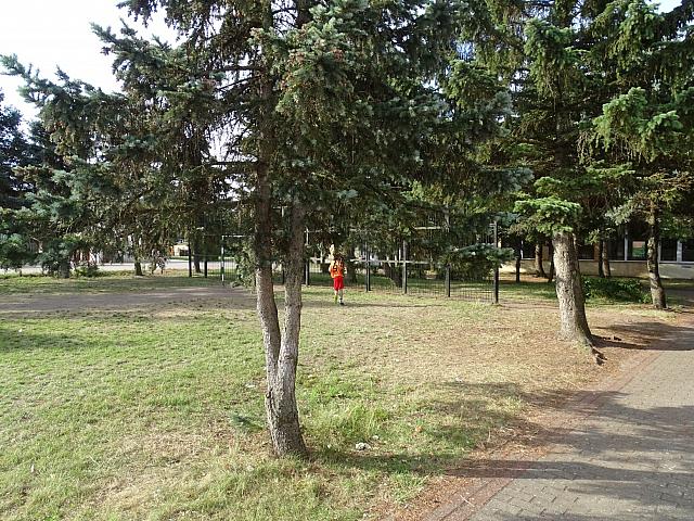 DSC01550
