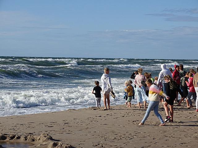 DSC05888