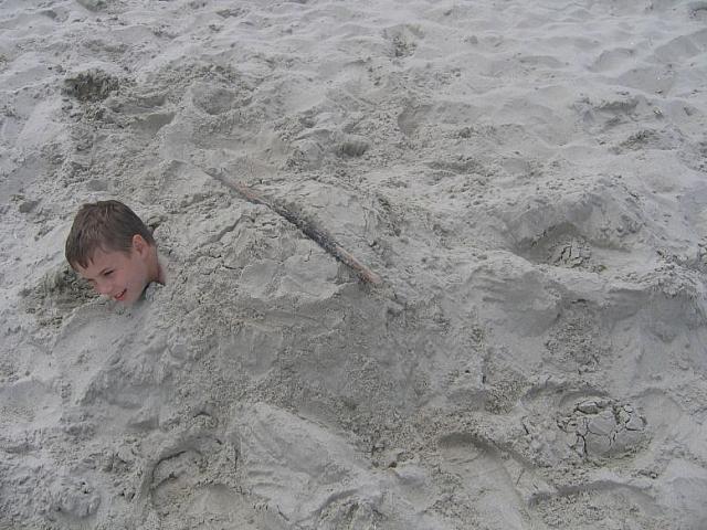 IMG 0148