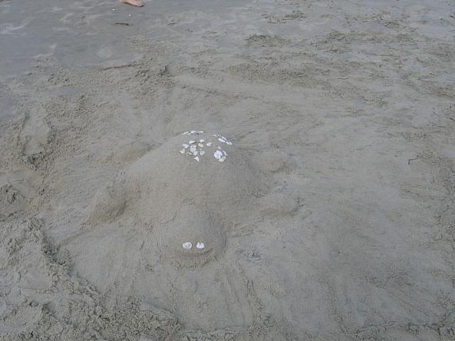 IMG 0236