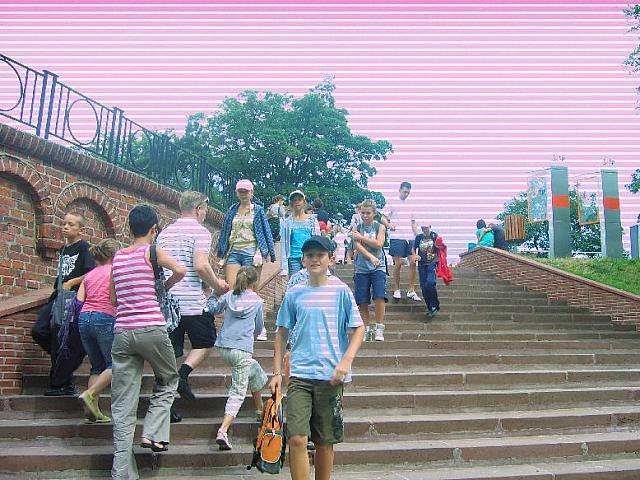 Sarbinowo 2010 (121)