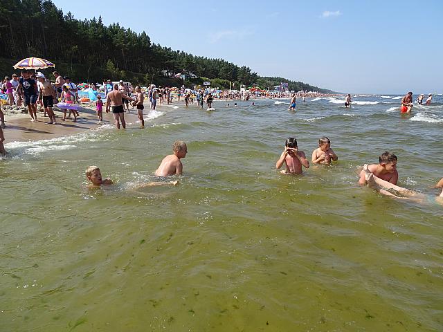 DSC00600