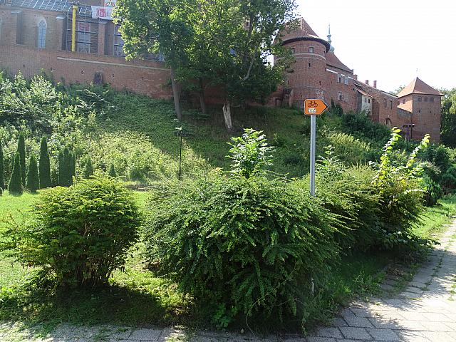DSC00842