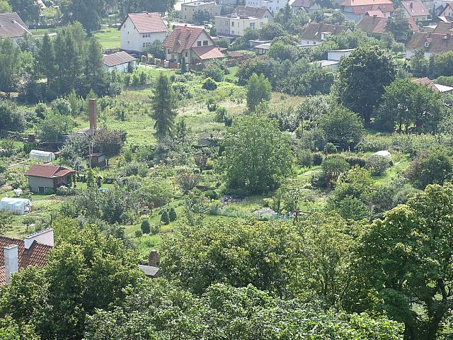 DSC00885