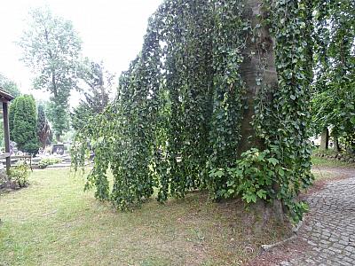 DSC02065