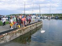 IMG 0442