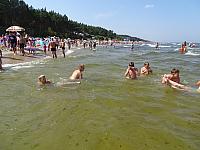 DSC00600
